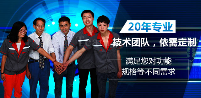 20年技术专业团队，依需定制
